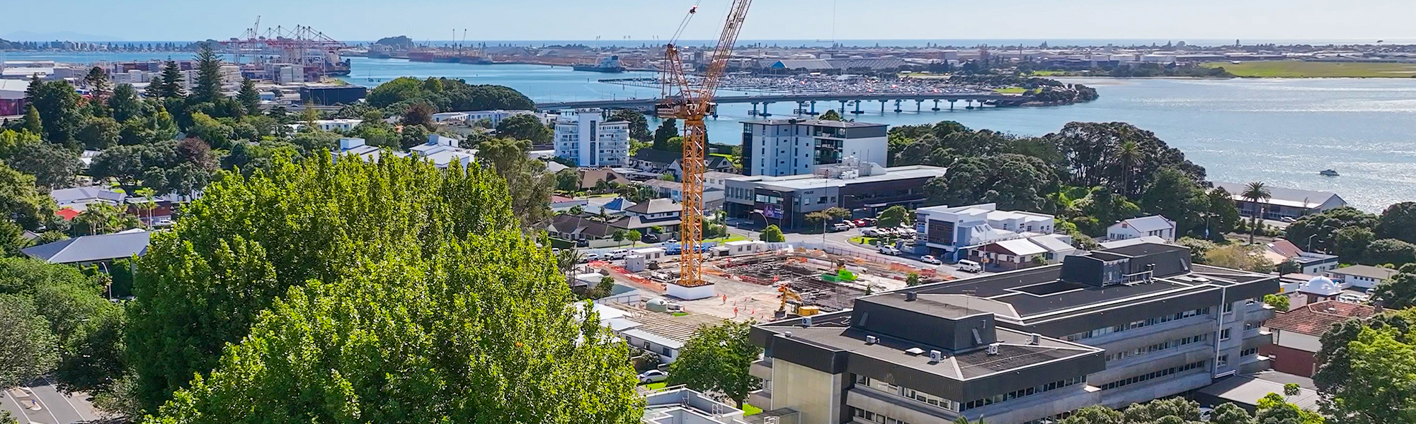 high shot of tauranga city centre showing building work, development and cranes