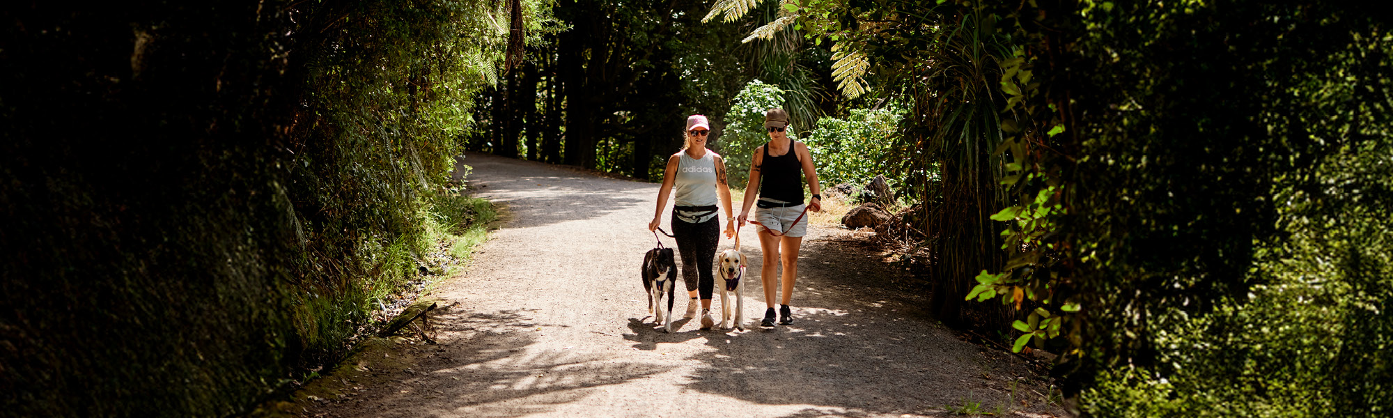 Two women walking their dogs