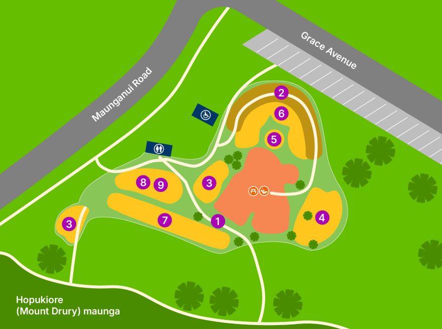 Hopukiore Reserve birds eye view of playground layout