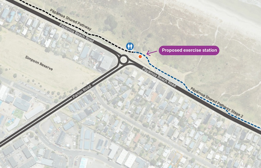 Proposed exercise station Proposed exercise station